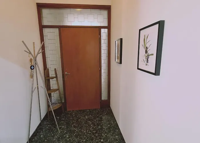 Chrysanthemum Nicosie