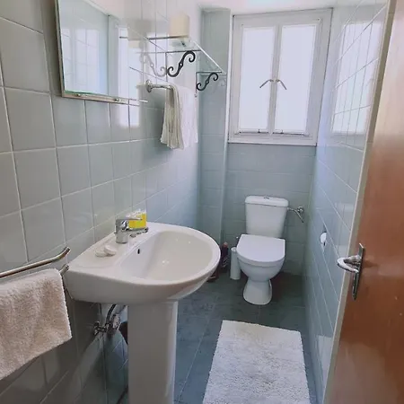 Apartment Chrysanthemum