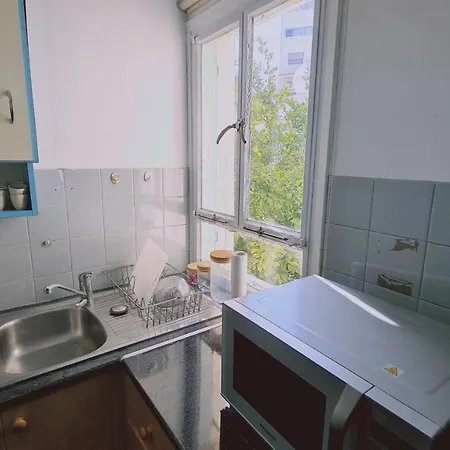 Apartment Chrysanthemum