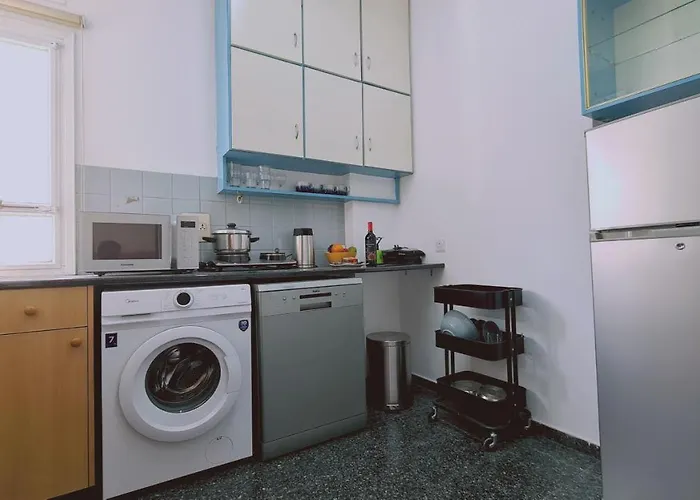 Chrysanthemum Διαμέρισμα *